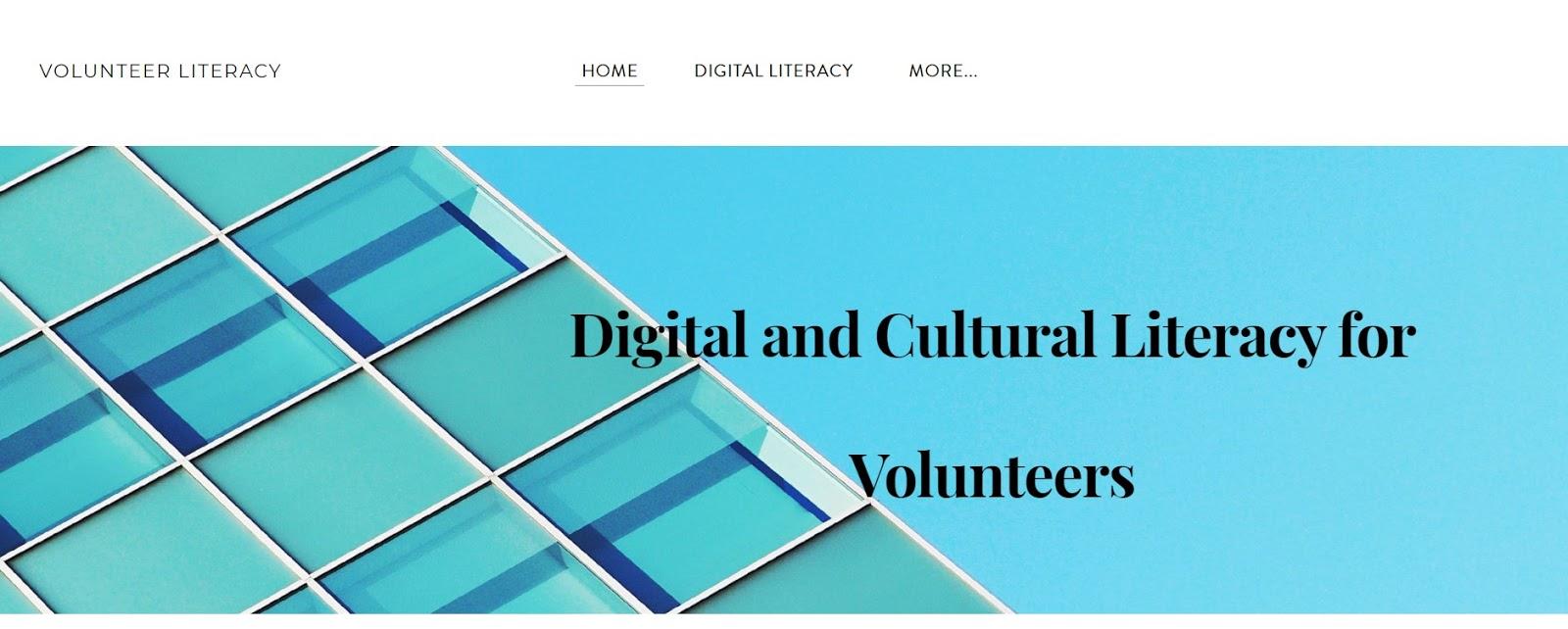 Screenshot of Digital and Cultural literacy website created by CTEP members.